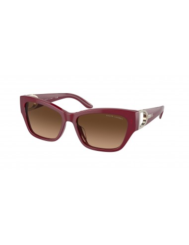 Ralph Lauren The Audrey 8206U Sunglasses une grave pollution 