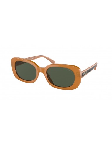 Coach Cd868 8358F Sunglasses de l' environnement