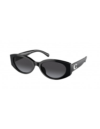 Coach Cd867 8353F Sunglasses en stock