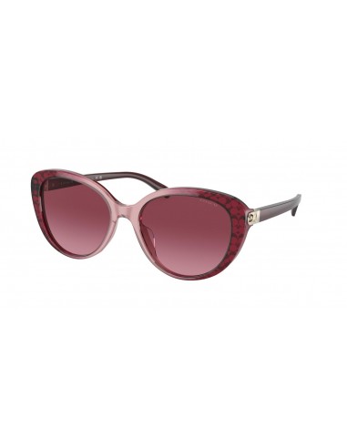 Coach Cd479 8348U Sunglasses les ligaments