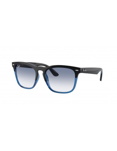 Ray-Ban Steve 4487 Sunglasses s'inspire de l'anatomie humaine