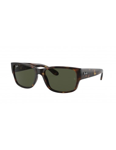 Ray-Ban 4388 Sunglasses de France